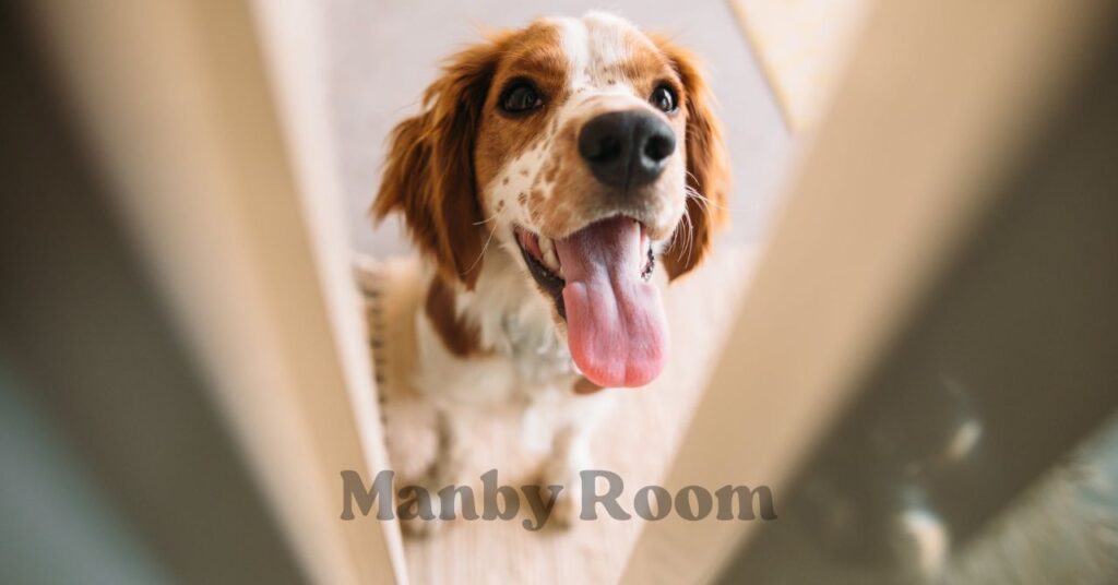 玄関の扉越しに見える元気な犬