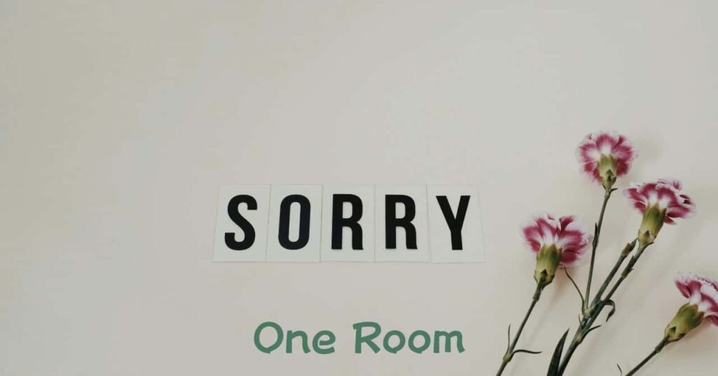 「SORRY」の文字とカーネーションの花が並ぶ画像。片付けで挫折しそうになった経験や気づきを綴るセクションを示している。